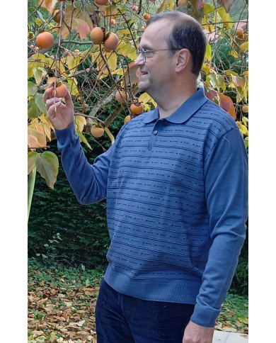 Pull col polo manches longues Pull col polo manches longues